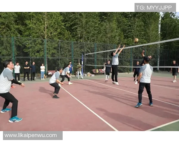 陈芳独家分享排球心得与技巧助你提升竞技水平与团队合作能力