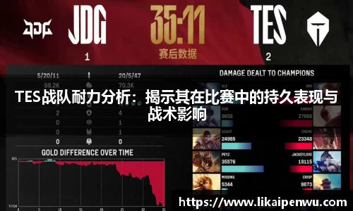 TES战队耐力分析：揭示其在比赛中的持久表现与战术影响