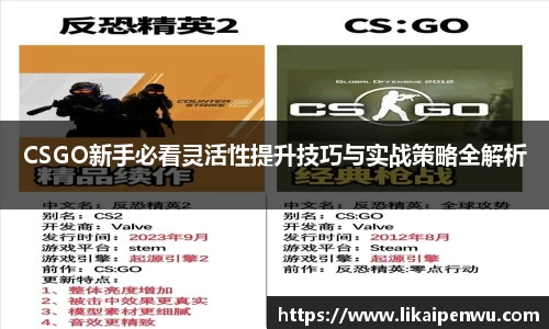 CSGO新手必看灵活性提升技巧与实战策略全解析